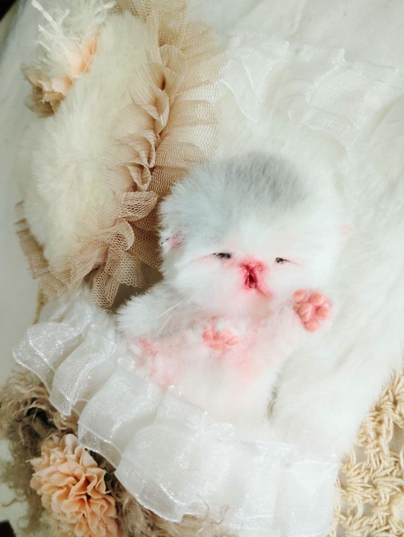 生まれたて♡生後２日子猫ちゃん♡エキゾベビー♡お布団セット♡アートドール♡