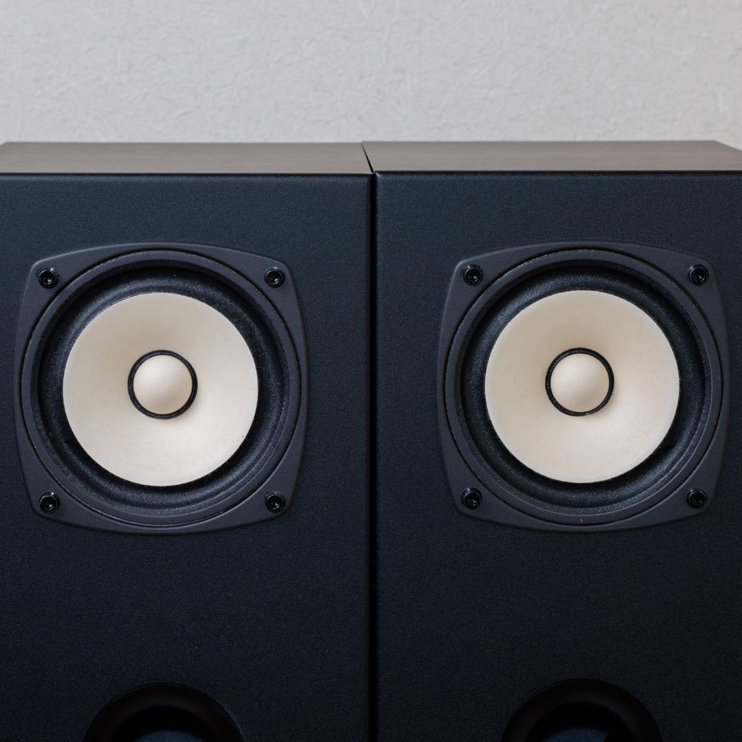Fostex BK105WB2 + FE103NV スピーカー（2台）