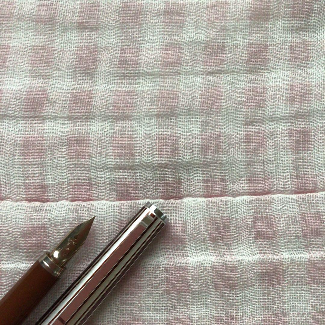 プラチナ 18K 18金 万年筆 リビエール ストライプ 茶 細字 廃盤