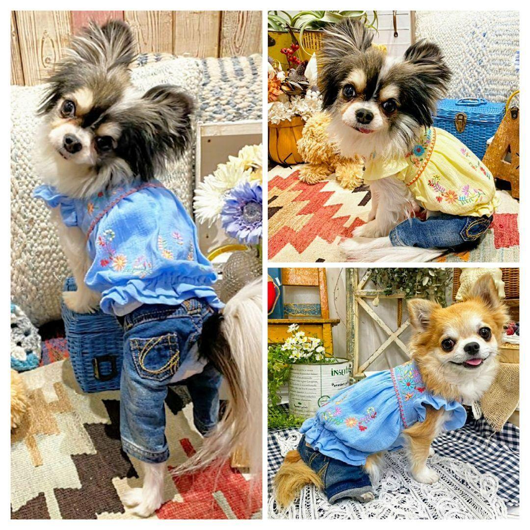 定番a刺繍カットデニム新品未使用　asknowasdewan アズノウアズデワン