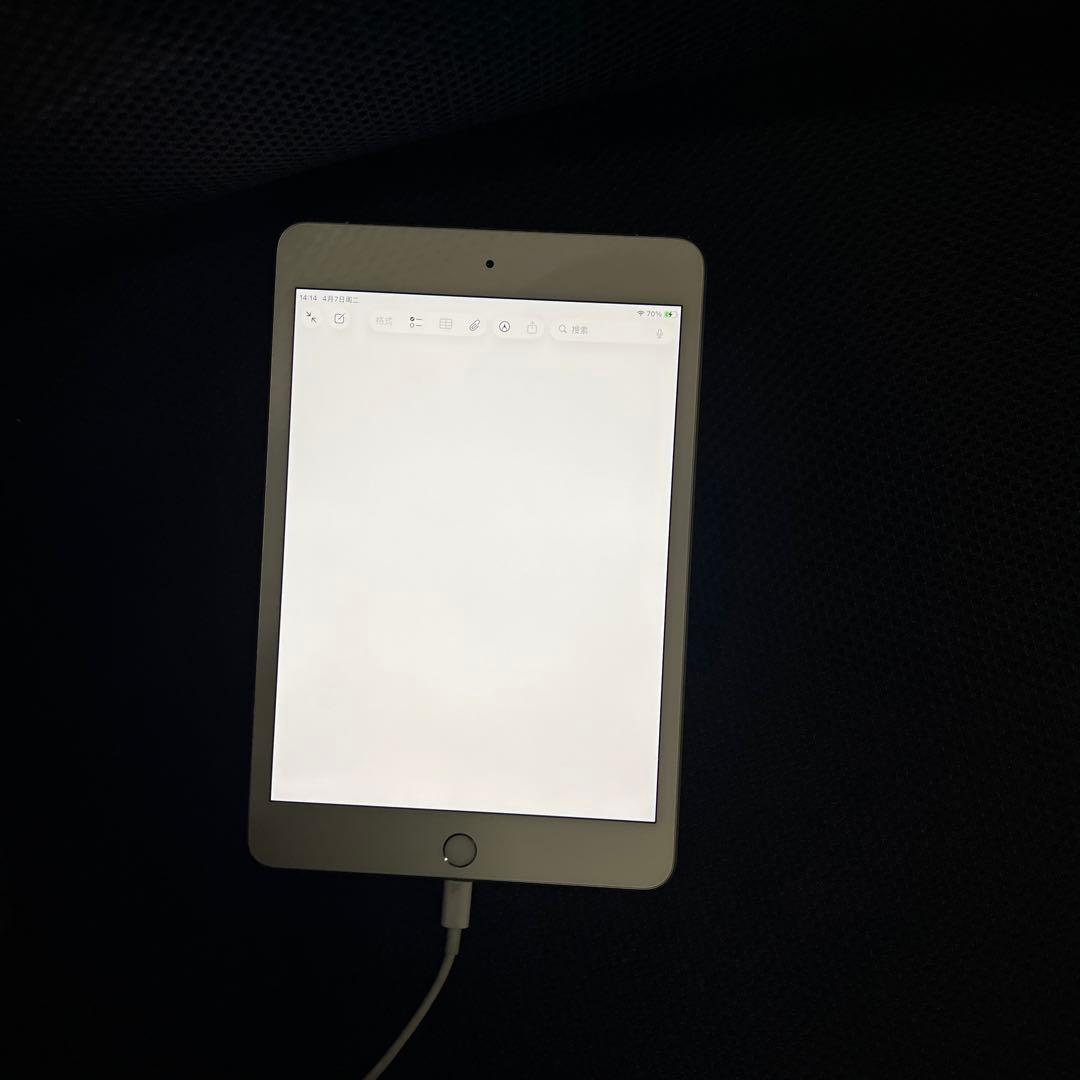 iPad mini (第５世代) Wi-Fi + Cellular シルバー