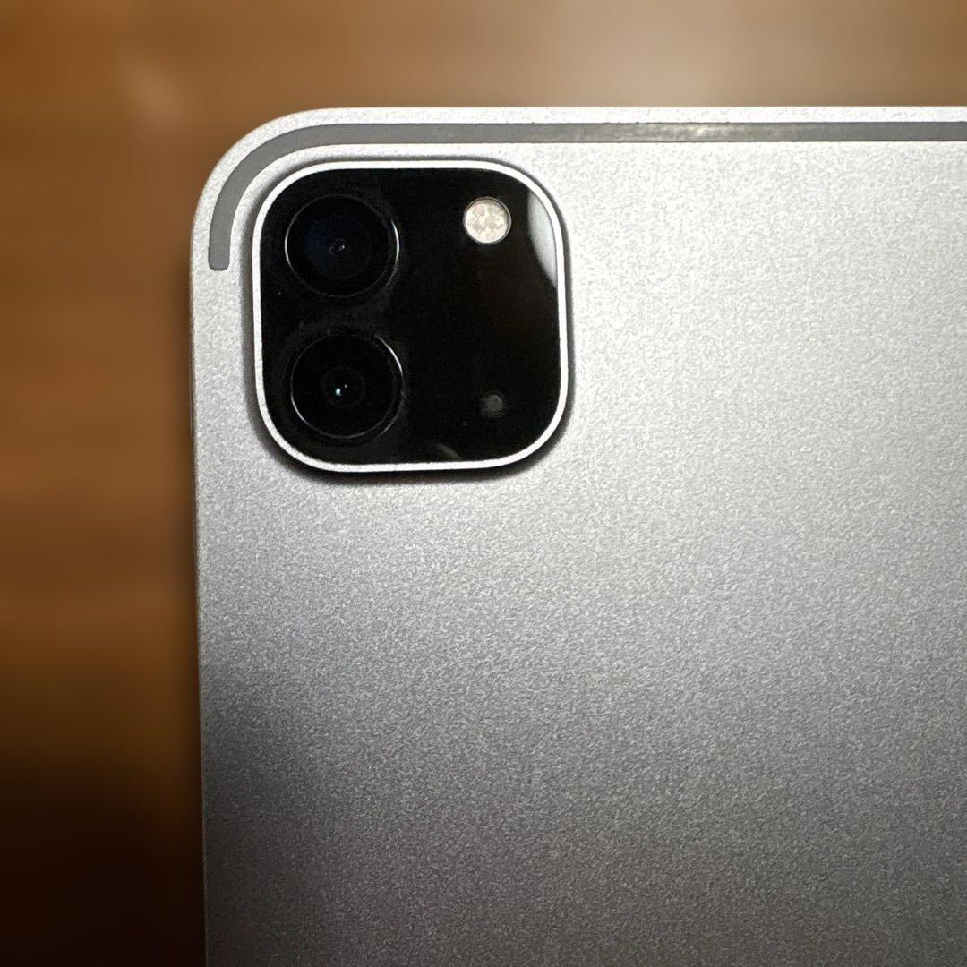 iPad Pro11インチ第四世代おまけ付き完品　交渉⭕️