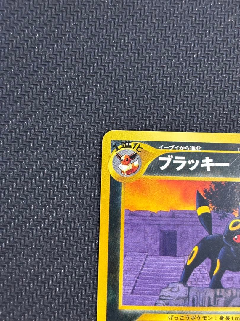 ブラッキー　エーフィ　プレミアムファイル　旧裏