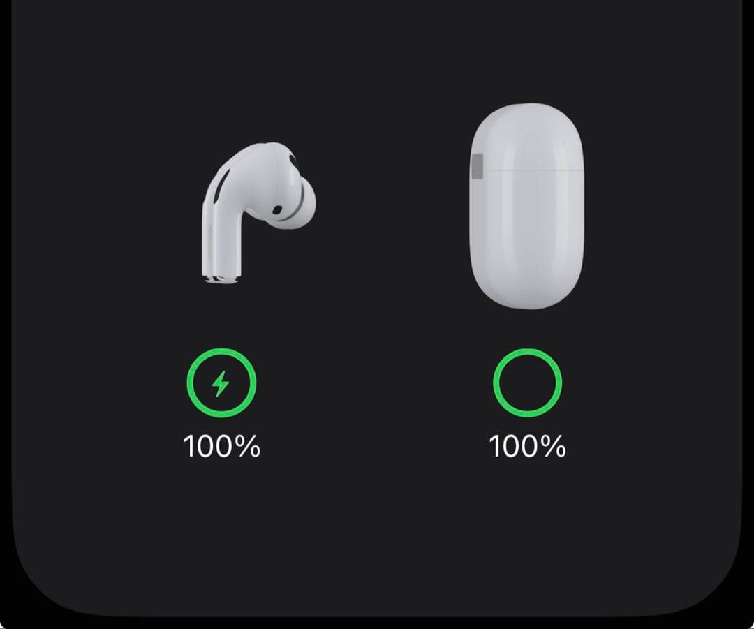 AirPods Pro 本体 ケース付き