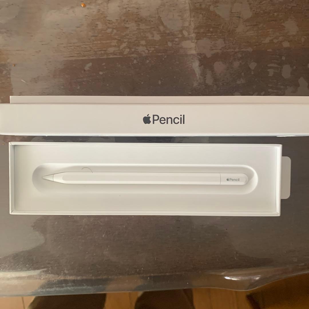 Apple Pencil USB-C ホワイト 箱付き