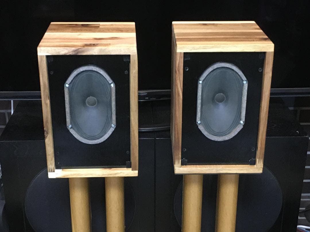 Telefunken ビンテージ録音モニタースピーカー 高解像度・高能率　ペア