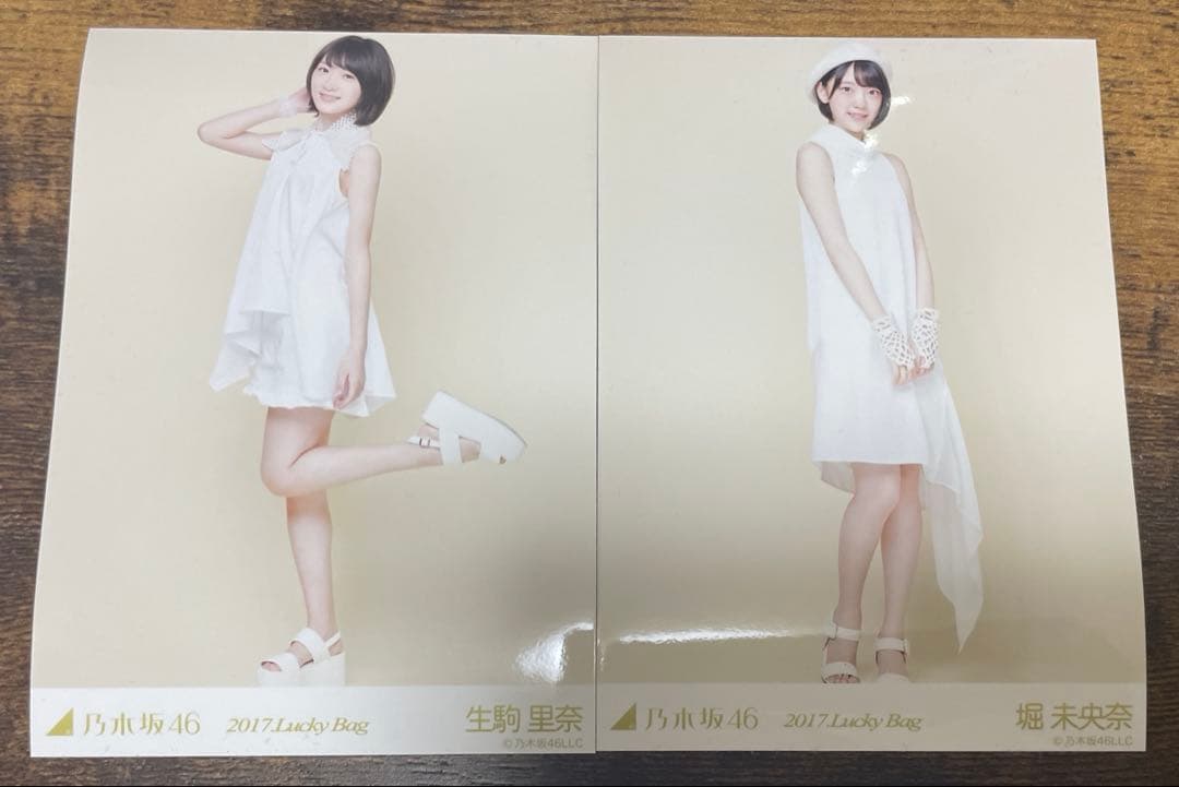 乃木坂46 生写真　2017 lucky bag