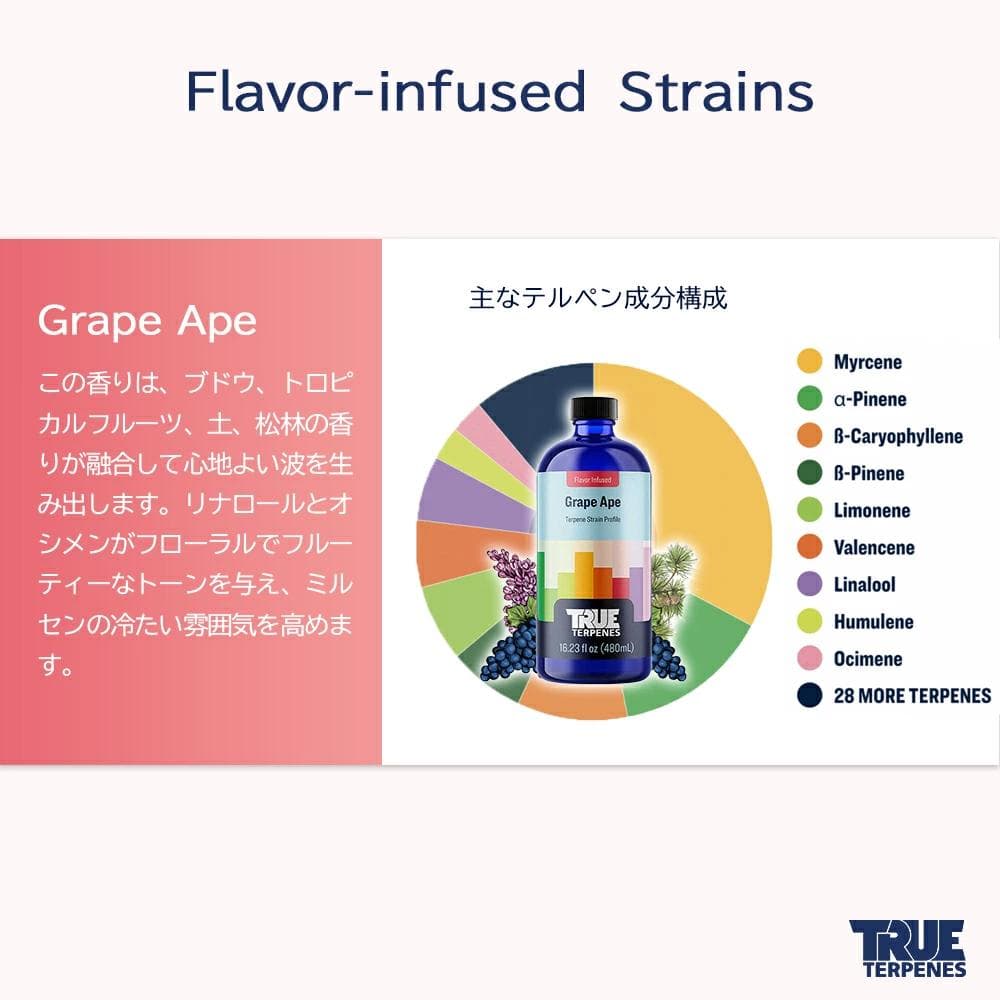 TRUE テルペン 510 CBD CBN CBG 10ml グレープエイプ