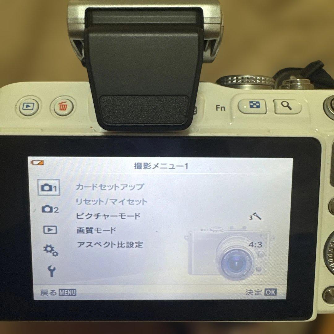 【動作確認済】OLYMPUS PEN E-PL3 望遠セット 運動会や旅行に！