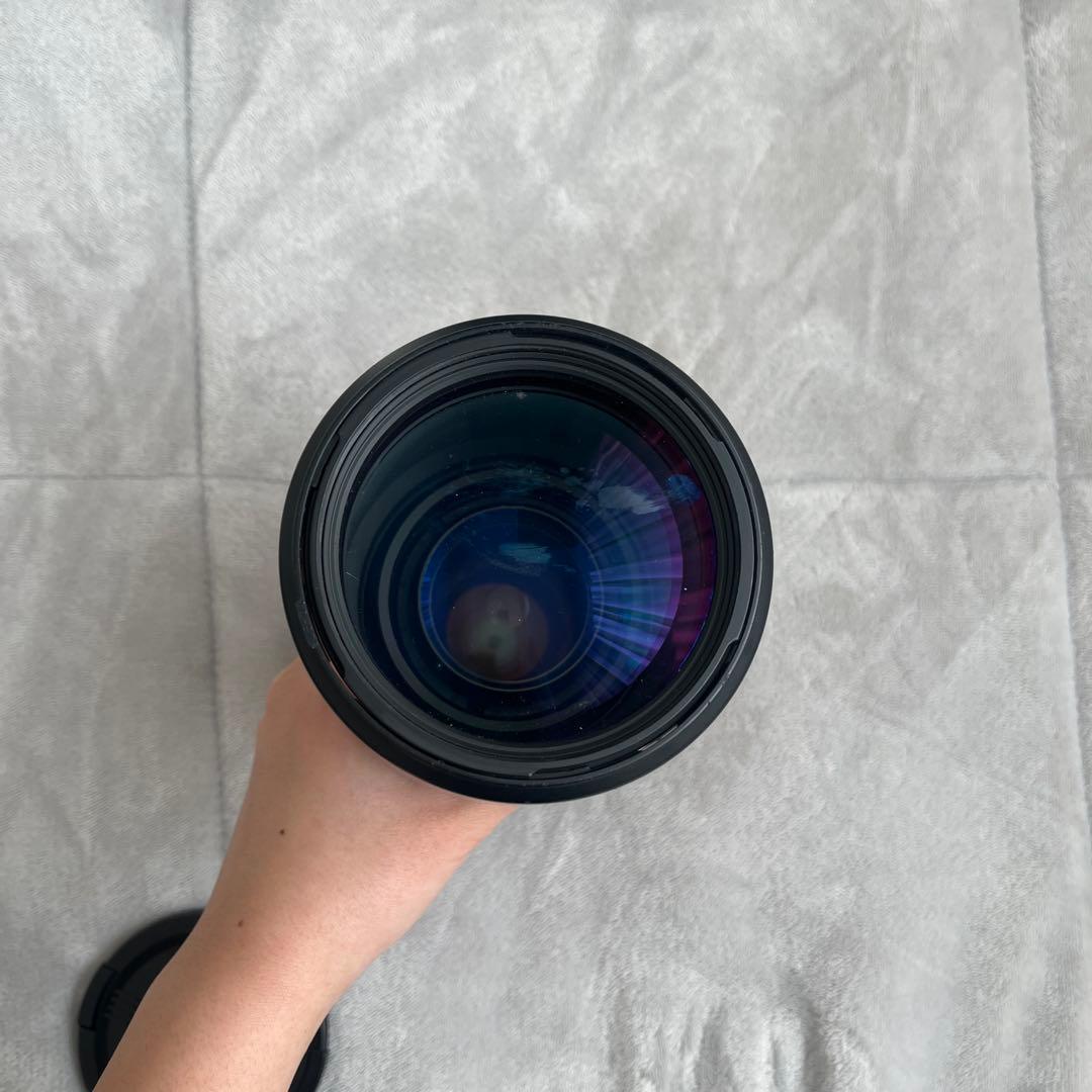 SIGMA 170-500mm F5-6.3 Nikon Fマウント