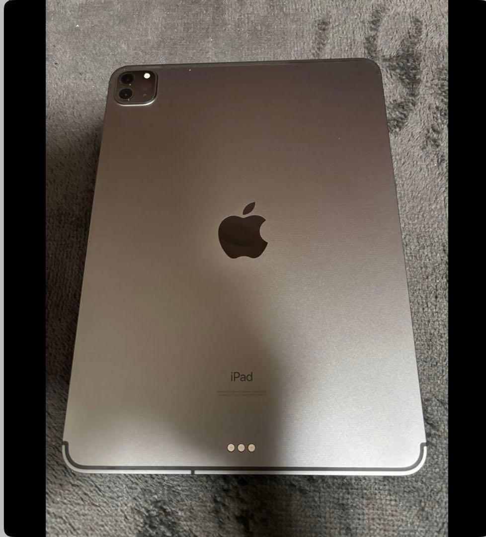 ミ*ト様 （ジャンク本体）iPad Pro（11インチ）（第2世代）　256GB