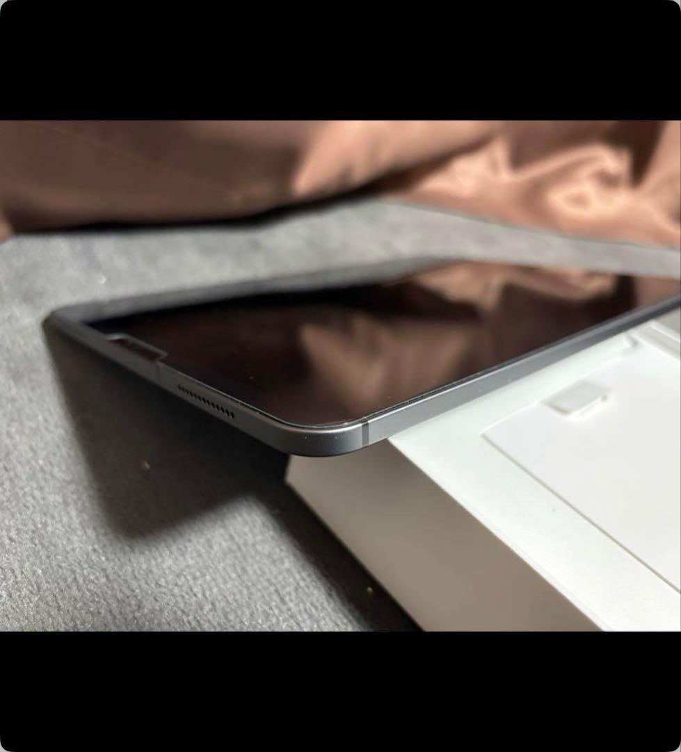 ミ*ト様 （ジャンク本体）iPad Pro（11インチ）（第2世代）　256GB