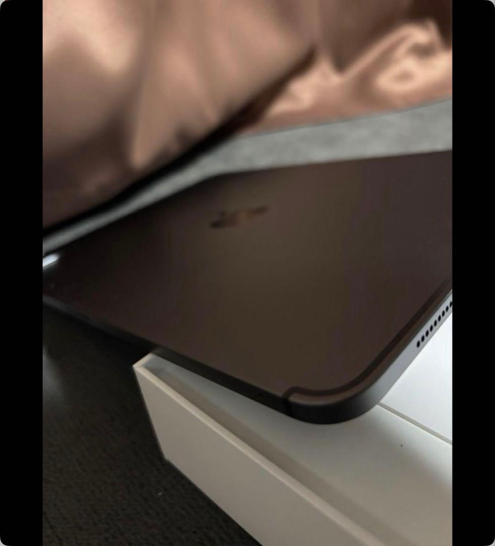 ミ*ト様 （ジャンク本体）iPad Pro（11インチ）（第2世代）　256GB