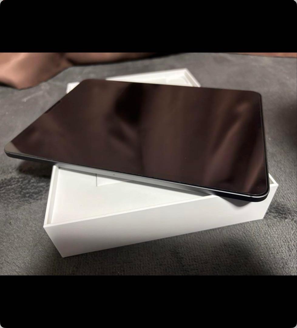 ミ*ト様 （ジャンク本体）iPad Pro（11インチ）（第2世代）　256GB