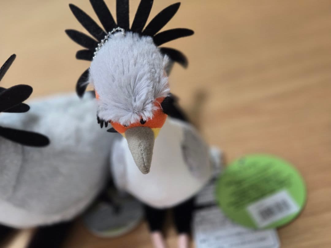 掛川花鳥園　ヘビクイワシ　ぬいぐるみ&マスコットキーチェーン２個セット