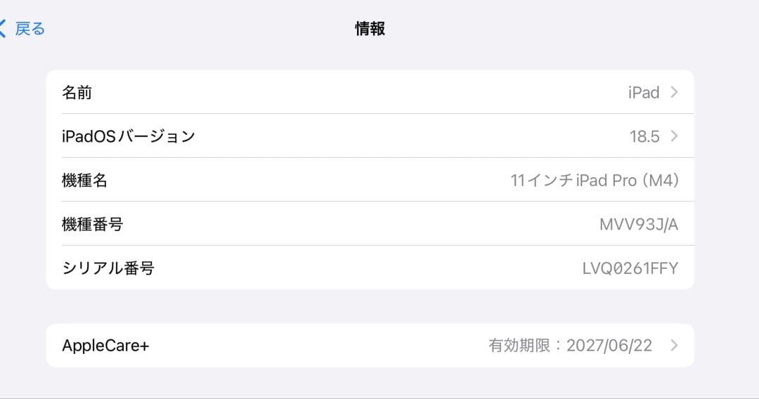 バッテリー100% M4 iPad Pro 11インチ256GBアップルケアー