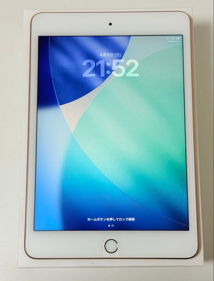 iPad mini 第5世代　256GB Wi-Fiモデル　美品