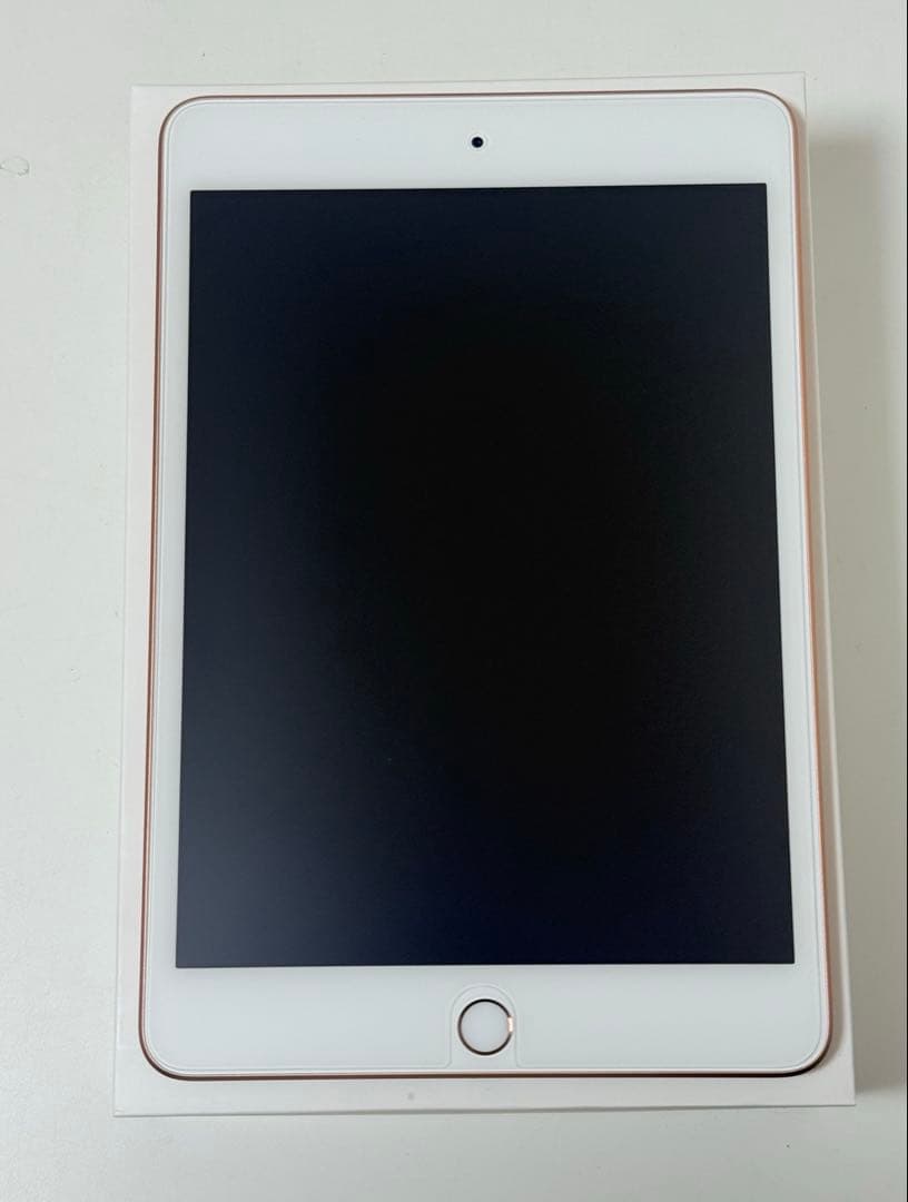 iPad mini 第5世代　256GB Wi-Fiモデル　美品