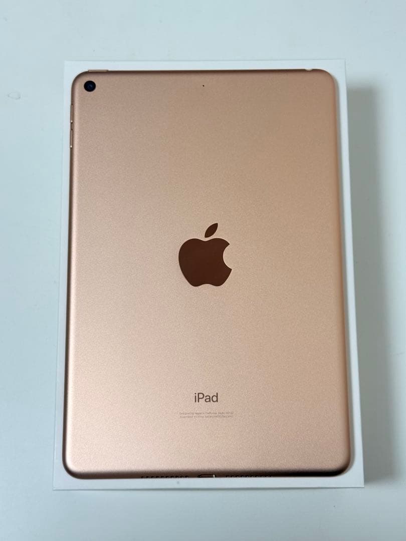iPad mini 第5世代　256GB Wi-Fiモデル　美品