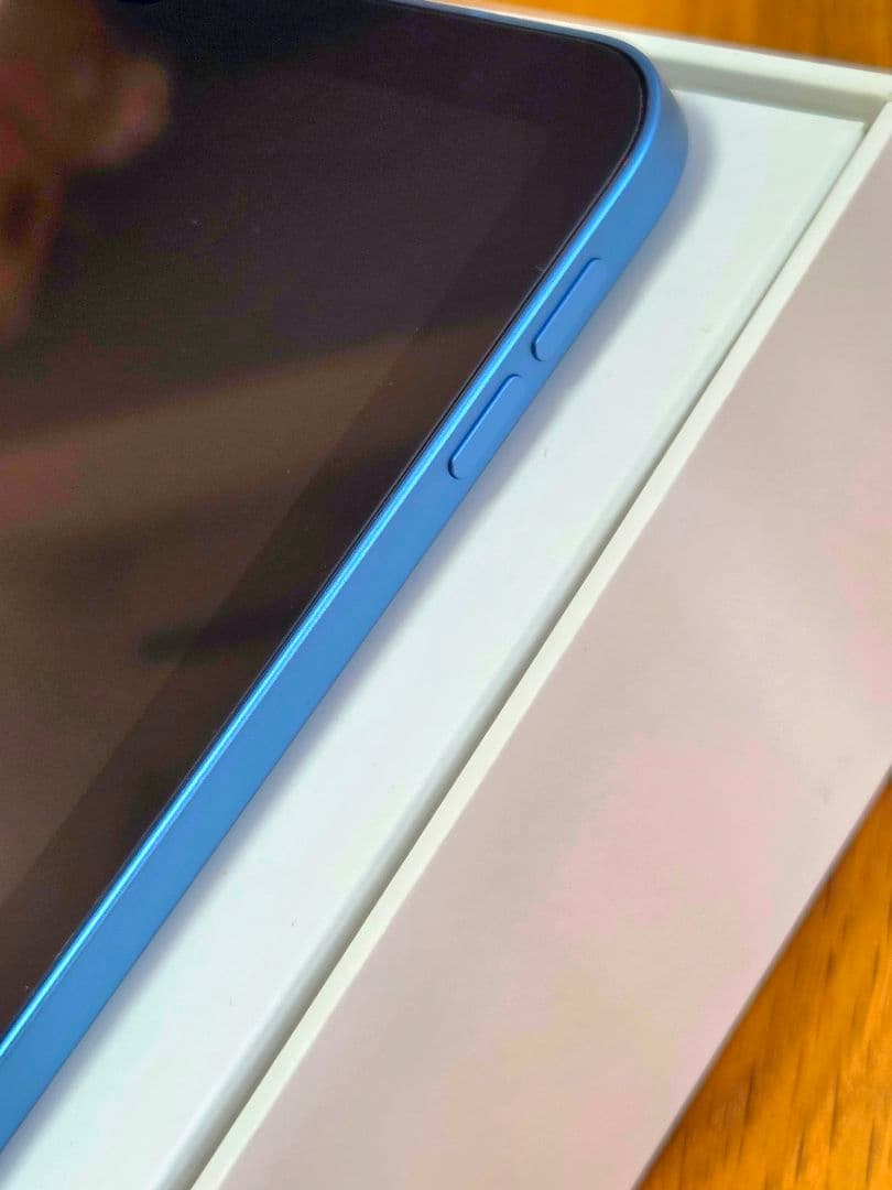 iPad Air 10.9インチ ブルー 256GB WIFIモデルApple