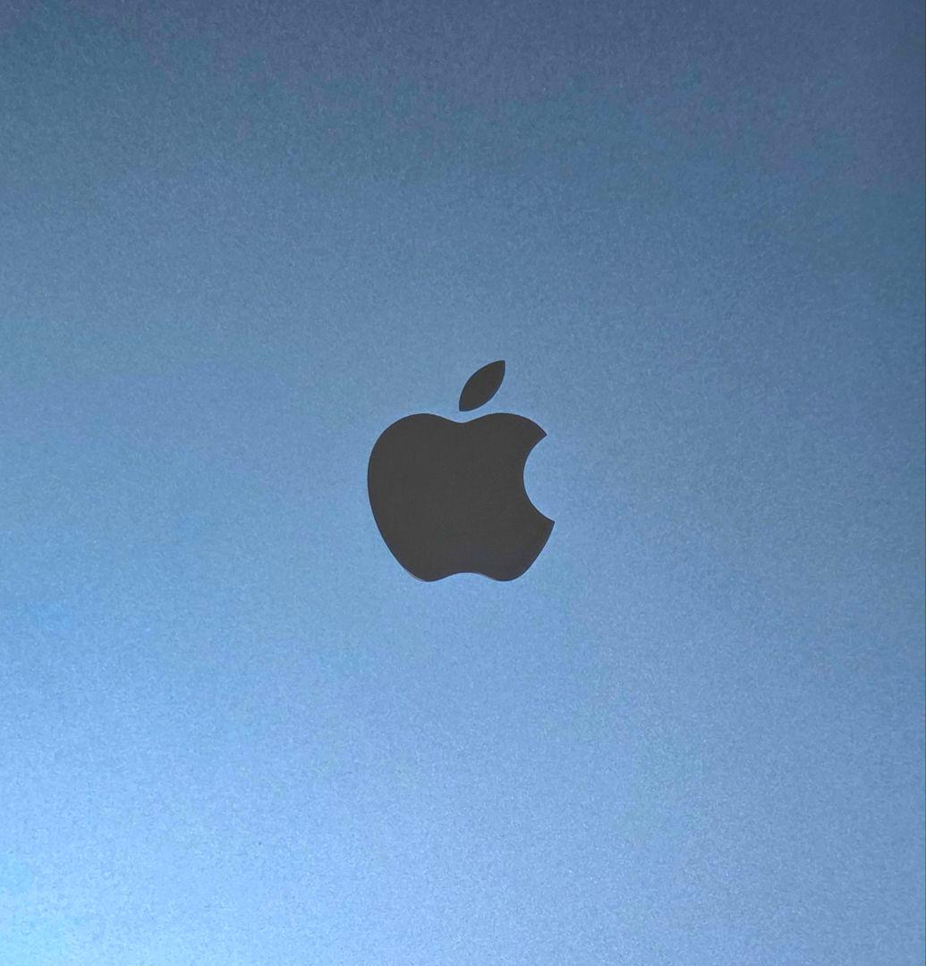 iPad Air 10.9インチ ブルー 256GB WIFIモデルApple