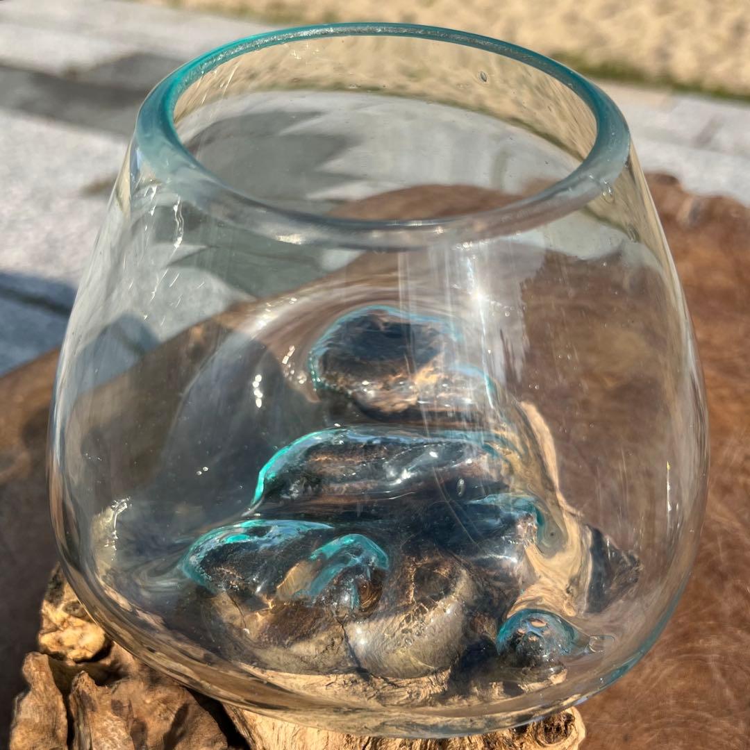 流木ガラス オブジェXSN バリ島 花瓶 金魚鉢 メダカ水槽 テラリウム アート