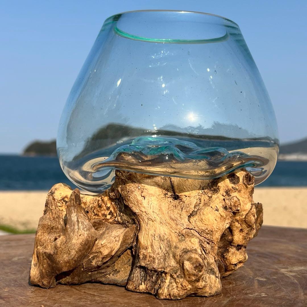 流木ガラス オブジェXSN バリ島 花瓶 金魚鉢 メダカ水槽 テラリウム アート