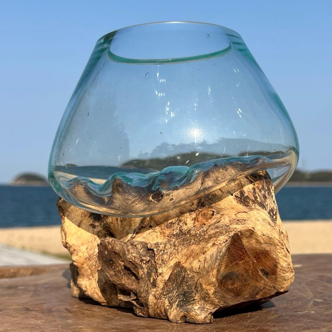 流木ガラス オブジェXSN バリ島 花瓶 金魚鉢 メダカ水槽 テラリウム アート