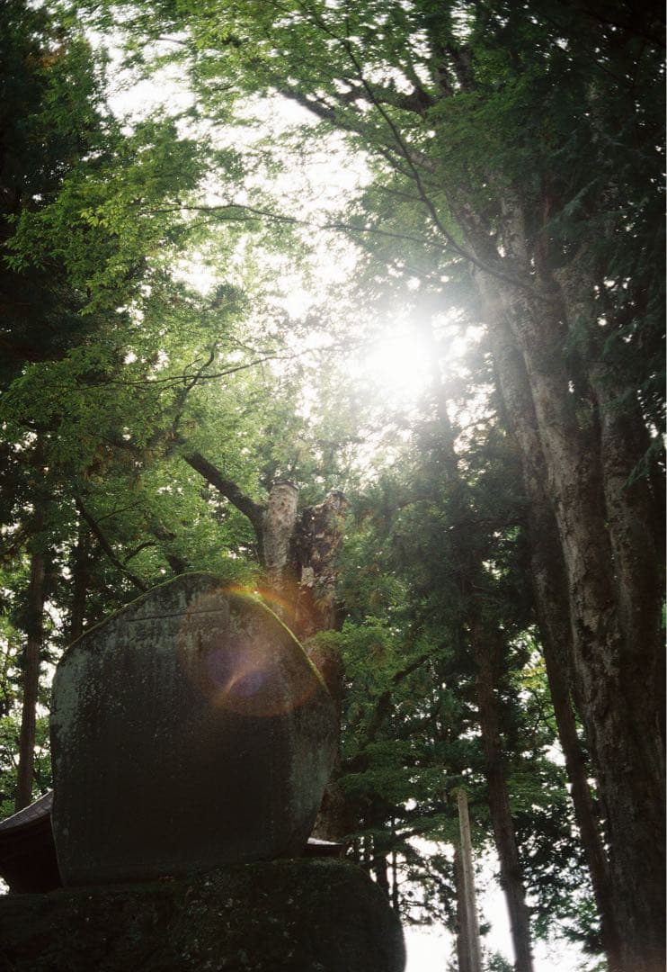 [動作確認済]YASHICA ELECTRO 35 CCN フィルム[作例]