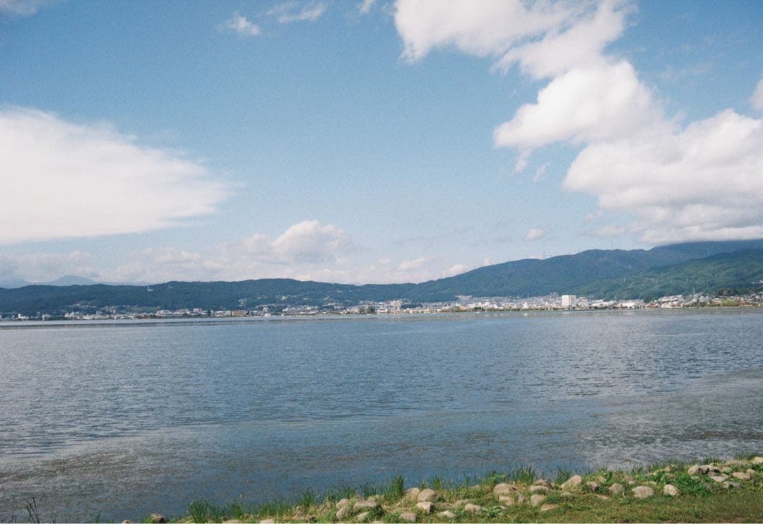 [動作確認済]YASHICA ELECTRO 35 CCN フィルム[作例]