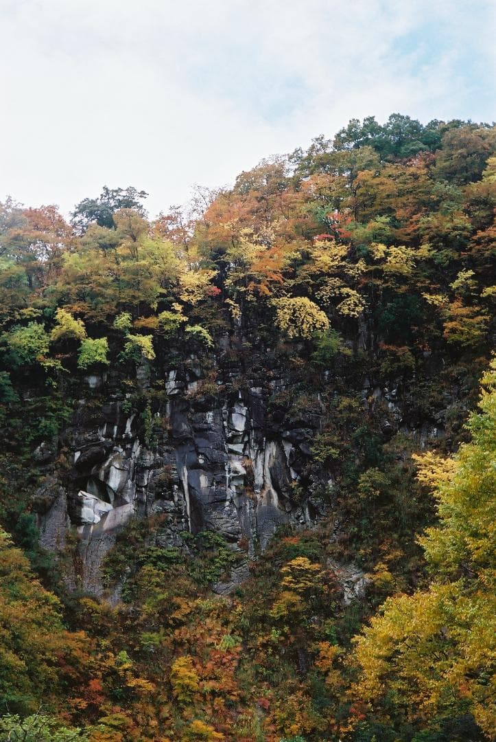 Agfaジレッテ／COLOR-AGNAR 45mmf3.5付【実写確認済整備品】