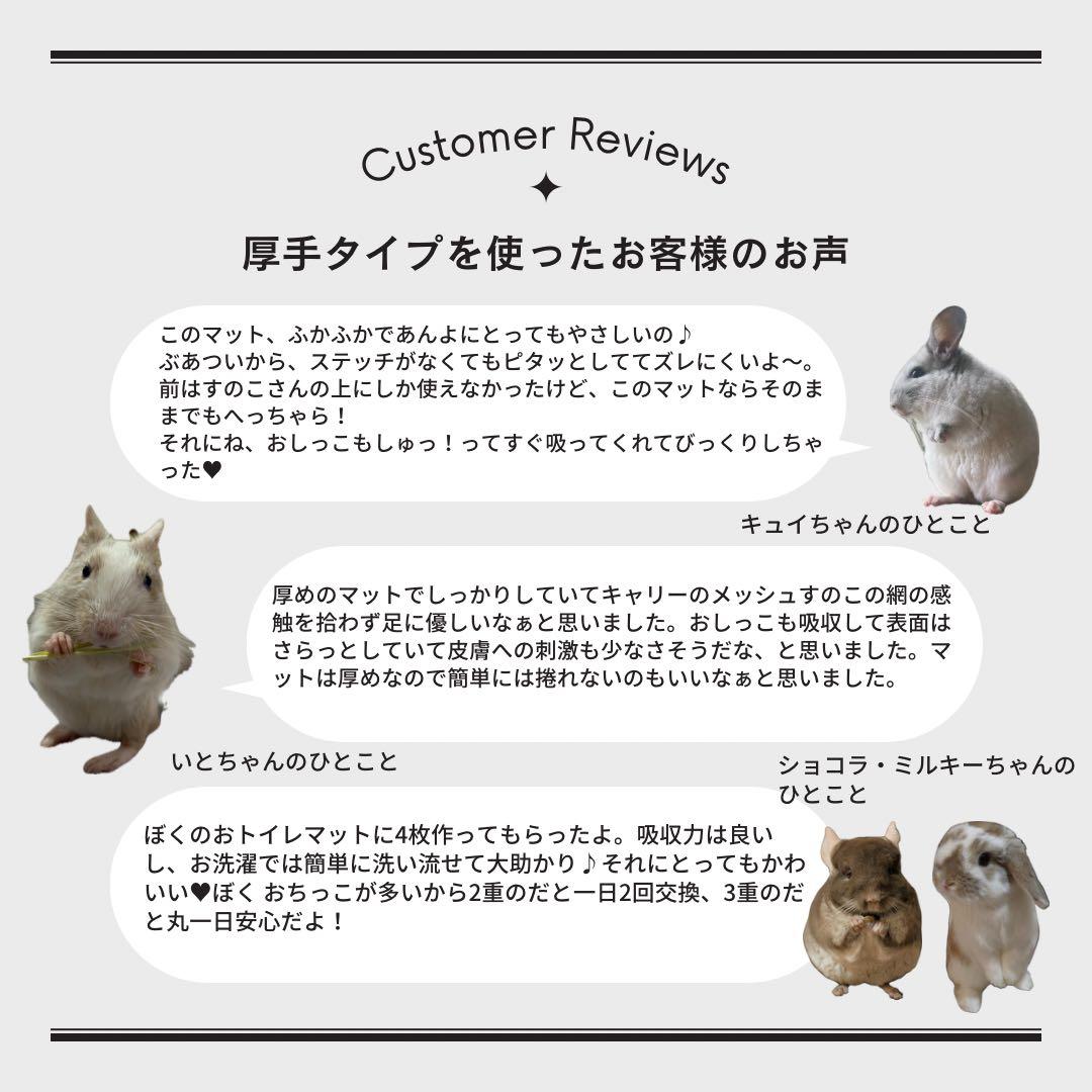 海外アンチピルマット　商品紹介ぺージ　オーダー中止中