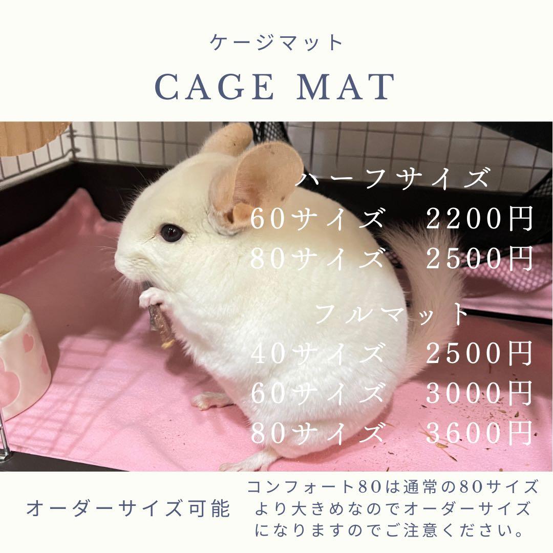 海外アンチピルマット　商品紹介ぺージ　オーダー中止中