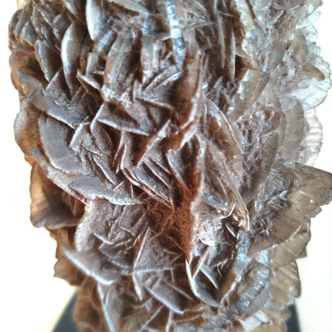 砂漠の薔薇　鑑賞石　H54