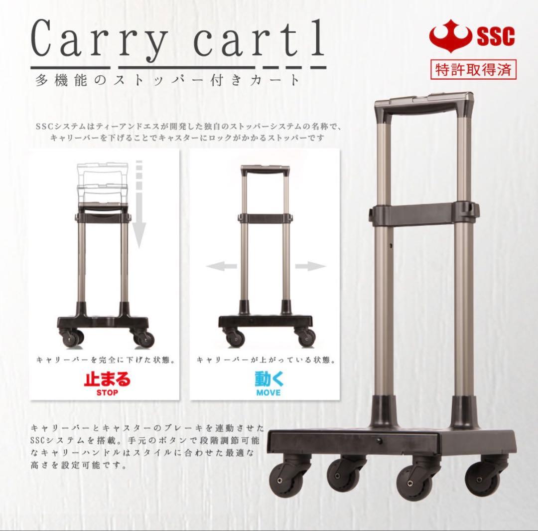 新品 2way レジェンドウォーカー バッグ カート キャスター付き 手押し車