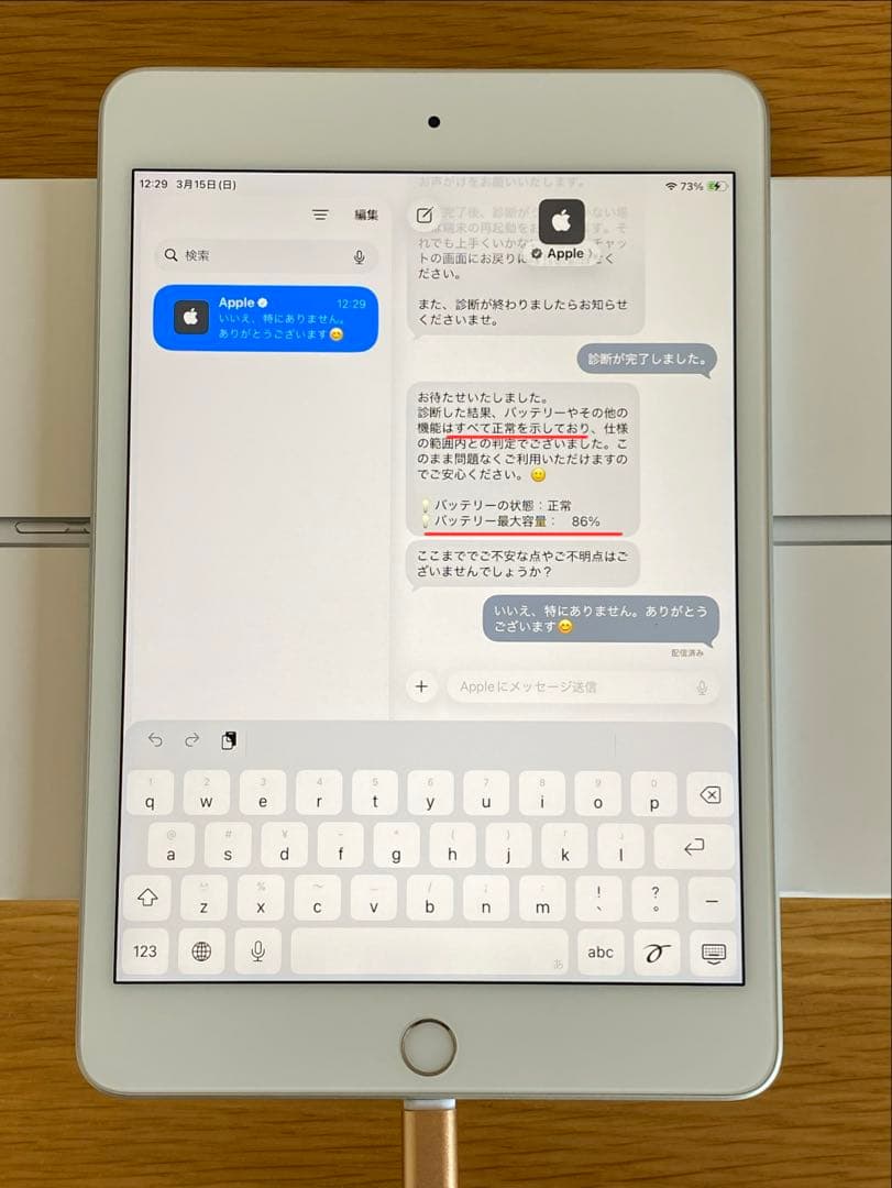 iPad mini 第5世代　新品純正充電器付　iPad本体　Aランク