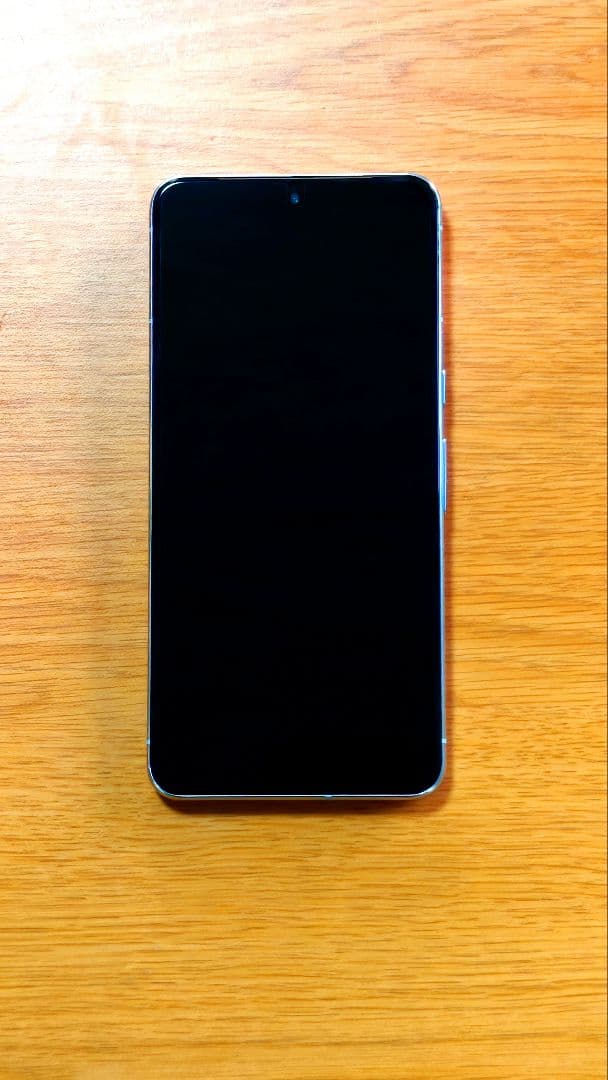 【美品256GB】Google Pixel 8Pro 本体