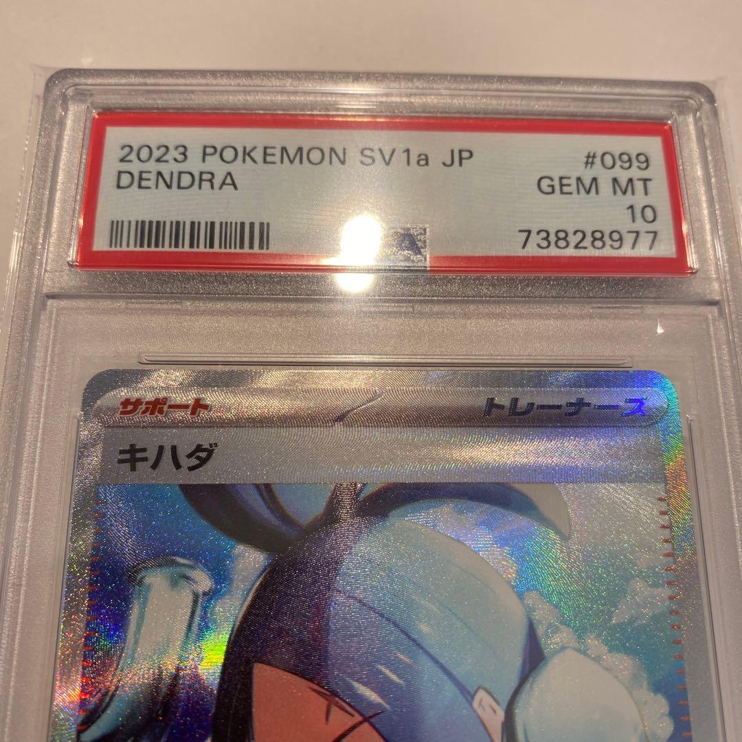 キハダ　SAR PSA10 ポケモンカード