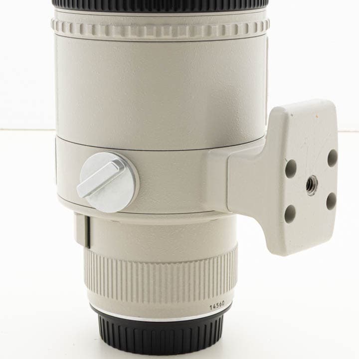 Canon EF 300mm F2.8L USM エクステンダ EF2x セット