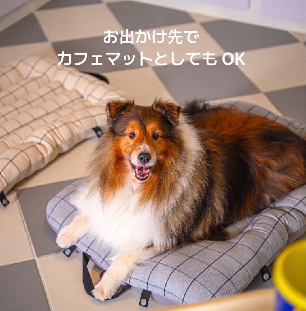 ハリースペット　コンフォーター・ライナー・ボールスター ウェールズハート柄