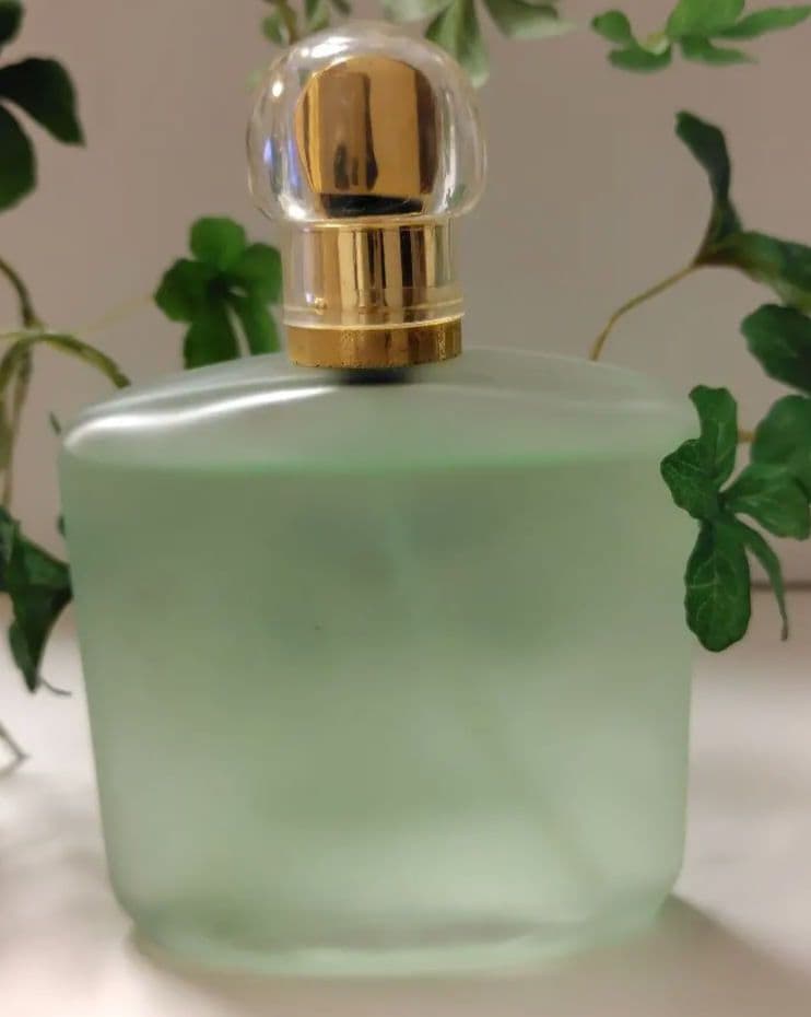 【大容量100ml】ジョルジオアルマーニ アクアデジィオ