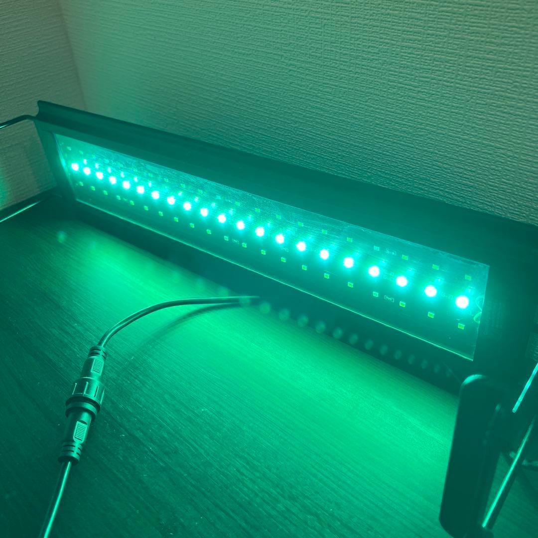 Grassy Legna LED ライト本体 45cm／Flat Timer付き