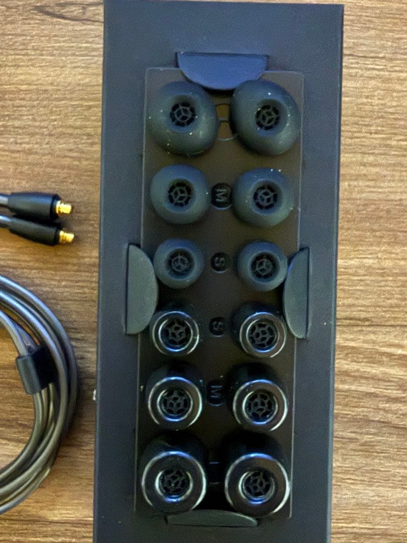Sennheiser IE 900 有線イヤホン　国内正規品