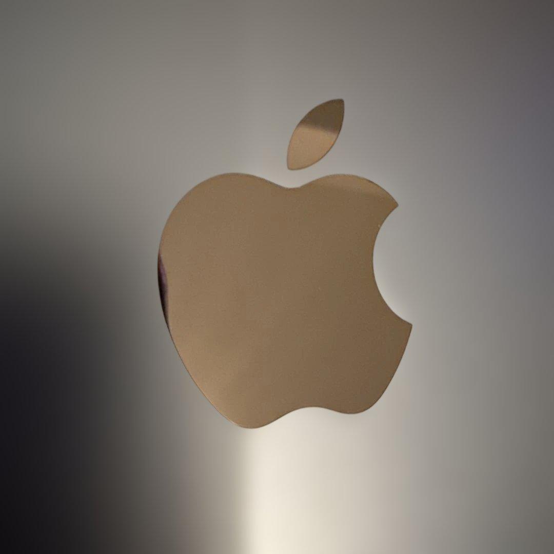 Apple iPad 第11世代 A16 128GB フイルム、ケース込 ブルー