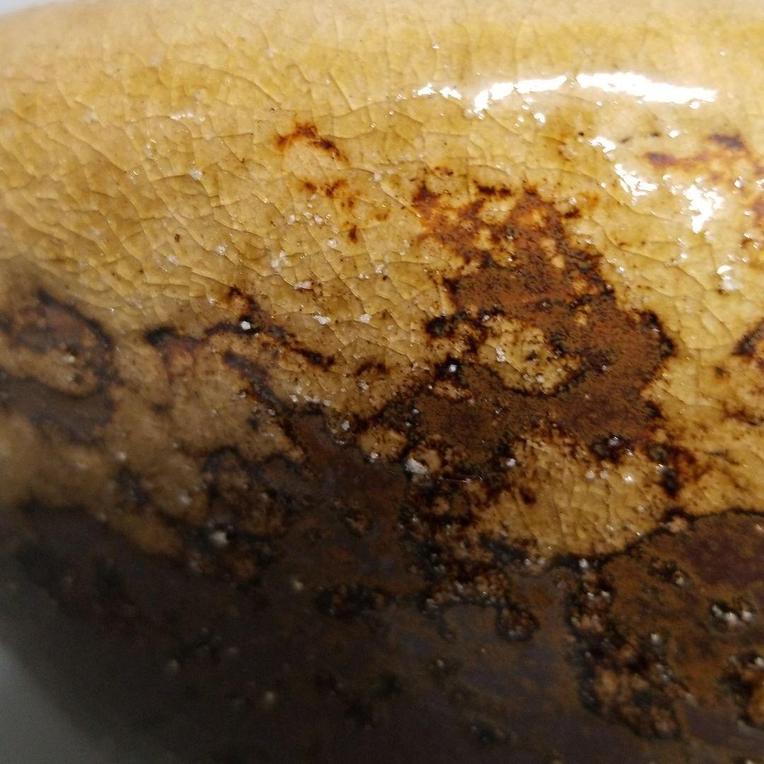 信楽焼 メダカ鉢 睡蓮鉢 水鉢 直径２４cm