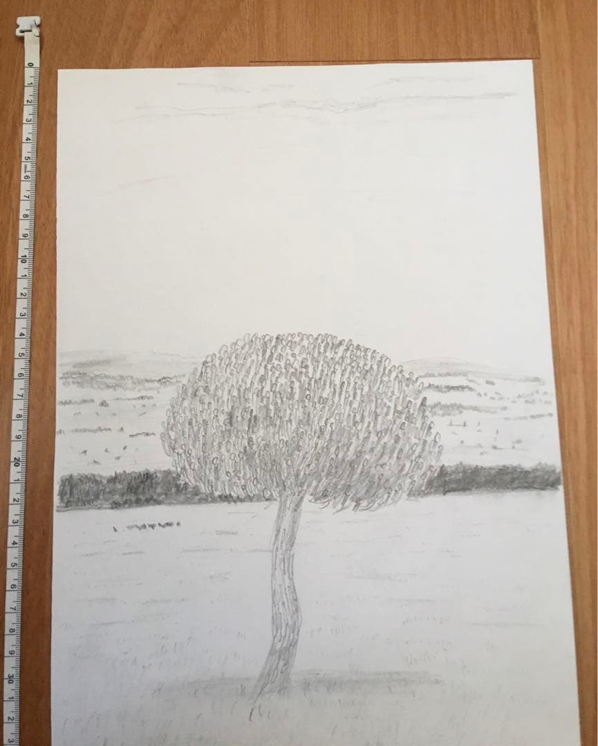 【良品】鉛筆・風景画　草原の木