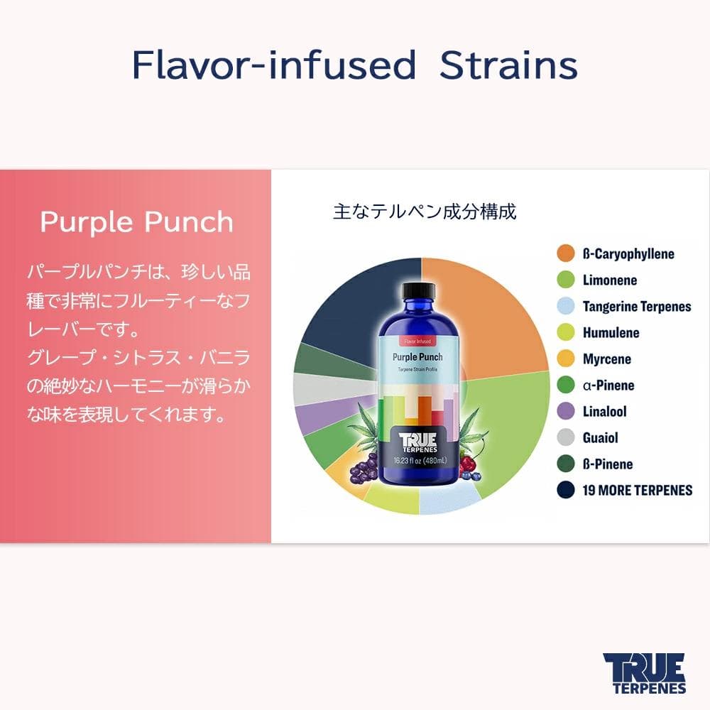 TRUE テルペン 510 CBD CBN CBG 10ml パープルパンチ