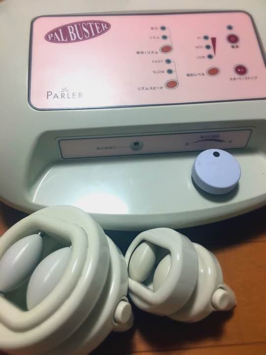 パルバスター