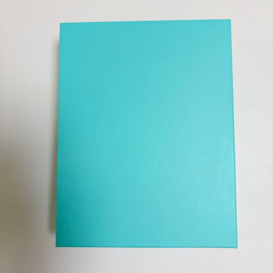 美品　希少　ティファニー　ネックレスケース　空箱　ジュエリー入れ
