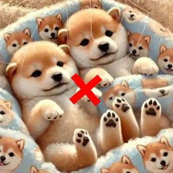 可愛いポメラニアン、柴犬、ダックス、チワワパネル生地　ハンドメイド